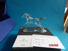 Swarovski  SCS   5004729  2014 Foal to Esperanza