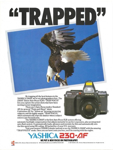 Vintage print yashica - vintage,