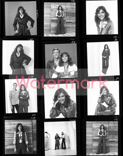 The carpenters contact sheet - contact,
