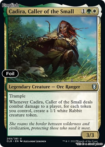 Cadira caller the - cadira,,