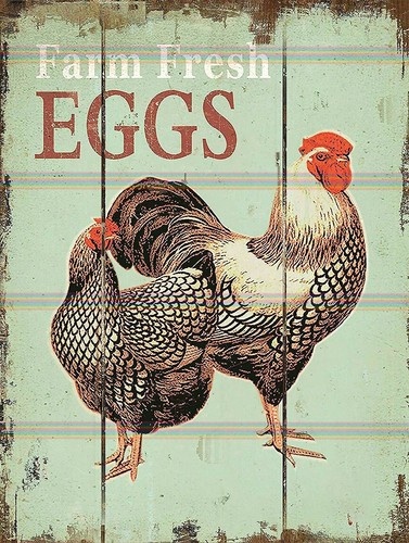 Farm fresh eggs retro - retro, tin