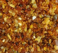 Amber Gemstone Chips (20