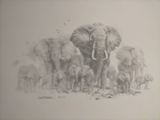 David Shepherd - Elephant