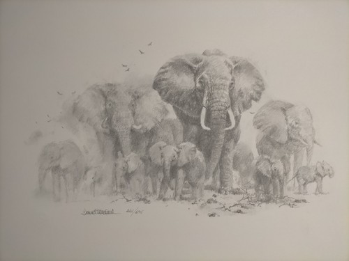 David shepherd elephant - -,