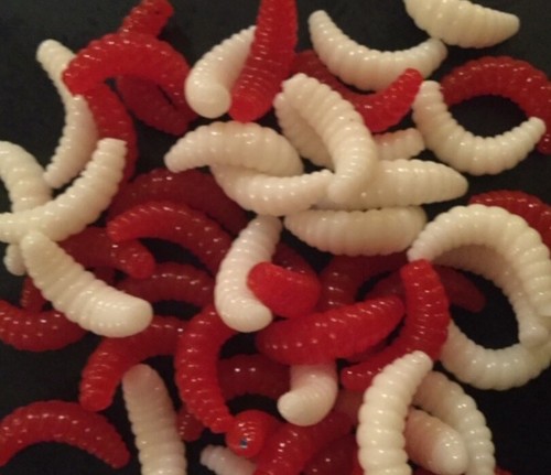 Artificial maggots soft - maggots,