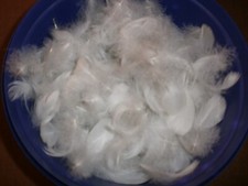 30 NATURAL GOOSE FEATHERS -