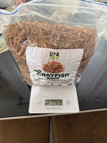 Farms oron crayfish - 24,