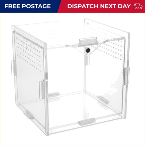 Durable clear acrylic reptile - durable,