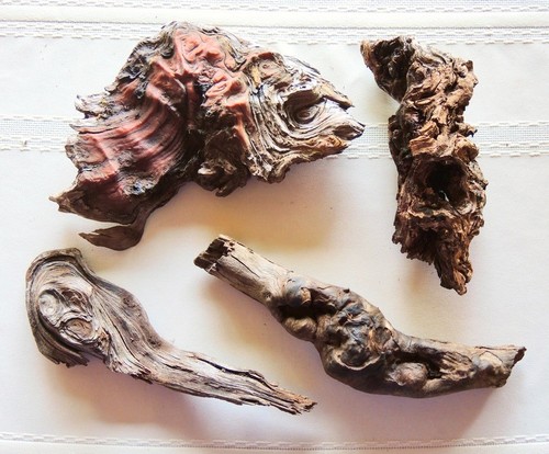 Lot natural driftwood - lot, 4