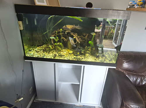 Glass freshwater rectangular - glass,