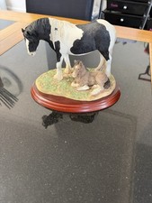 A Border Fine Arts piebald