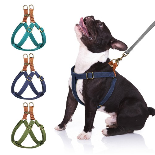 Nylon dog harness step - dog,