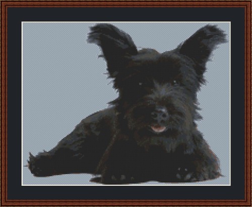 Skye terrier dog - terrier, stitch