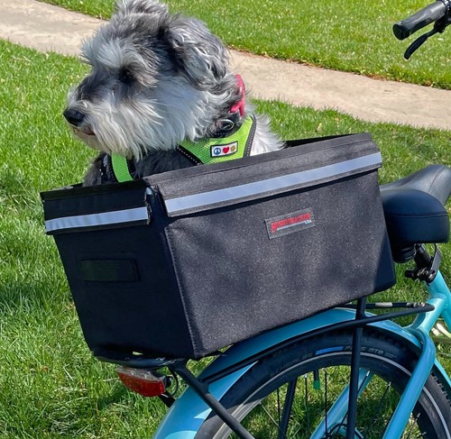 Small dog carrier - dog,