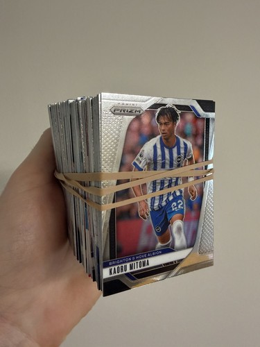 Brighton hove albion - hove,
