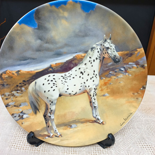 Spode the appaloosa noble - appaloosa,