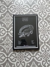 Brand New Catfish And The