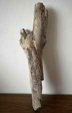 37cm CHUNKY DRIFTWOOD LOG