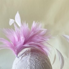 80 Colours Hackle Coque