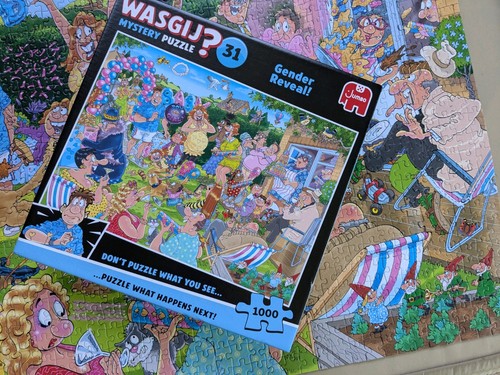Wasgij destiny 1000 piece - wasgij,
