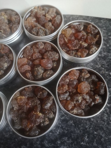 Rare organic socotra kua - a+,