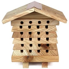 Solitary Bee Hive Mason