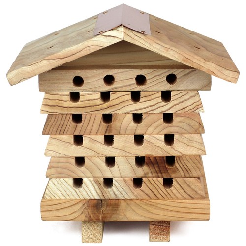 Solitary bee hive mason - hive,