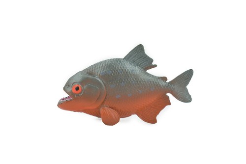 Fish toy red bellied - red,