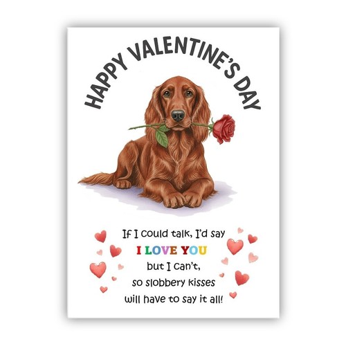 Irish red setter - red,