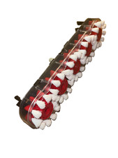 Genuine SpinScrub BrushBar Vax