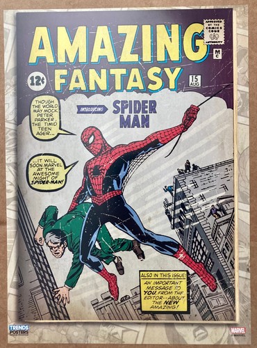 Amazing fantasy spider - spider-man, #15