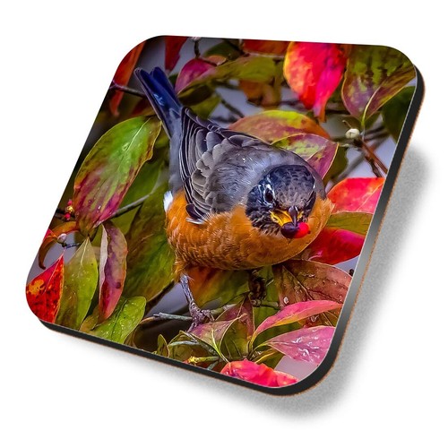 Square mdf coaster american - coaster,