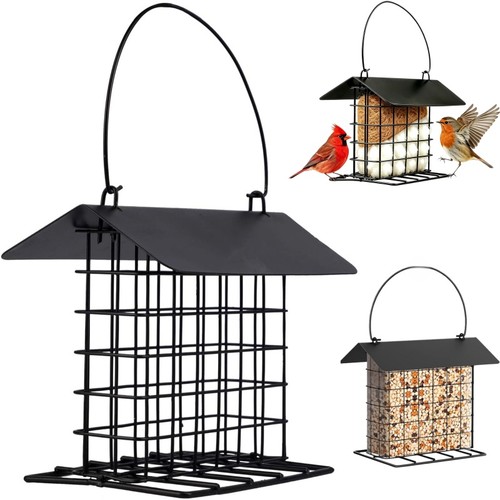 Wild bird feeder suet - suet, cake