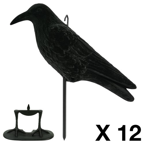 Nitehawk full body - 12,