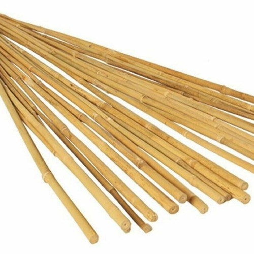 2ft 4ft large strong - 2ft-4ft,