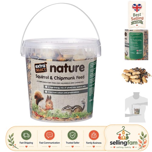 Nutritious squirrel chipmunk - nutritious,