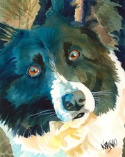 Border Collie Print of
