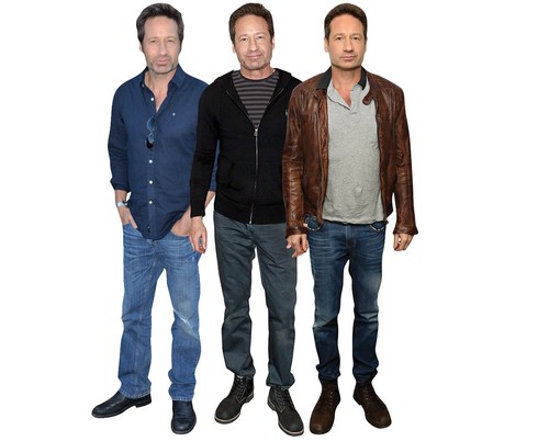 David duchovny life size - david,