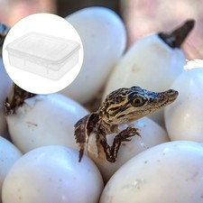 Egg Incubator Tortoise
