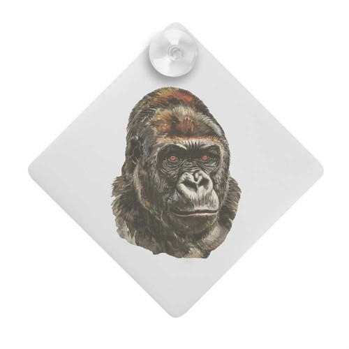 Majestic gorilla portrait - 'majestic, portrait'