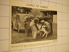 Going to market cough trailer farmer car