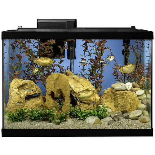 Tetra aquarium gallon - tetra,