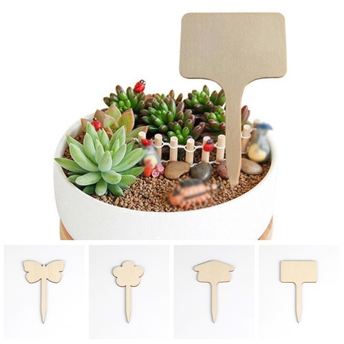 50pcs plant labels - plant,