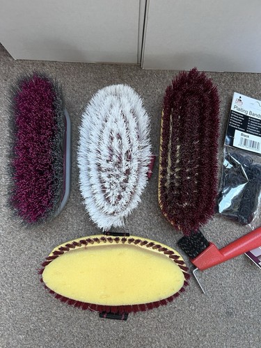 Horse grooming kit brushes - horse,
