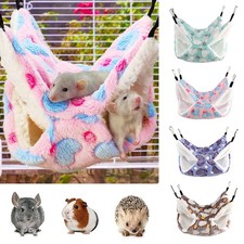 Pet Ferret Rat Squirrel Bird