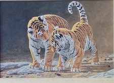 Stephen Gayford, "Brotherly Love" Framed Canvas Tiger Cubs, Certificate of Authe