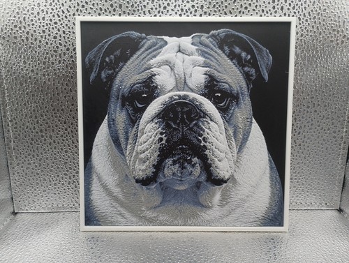 English bulldog hueforge - english,