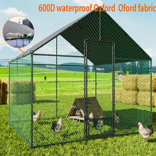 Strengthened metal chicken - metal,