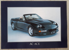 AC Ace Brochure / Leaflet 1995 - 5.0 V8