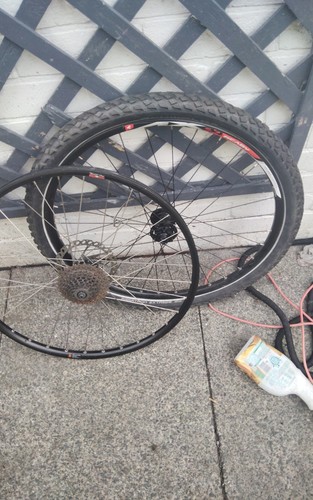 Alex rim ax24 ready - alex, race